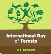 International Day Of Forests Observed On 21 March Gktoday