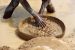 Blood Diamonds Explained