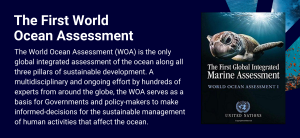 First Global Integrated Marine Assessment Report