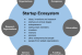 Start-up: Meaning and Evolution of Start-ups in India