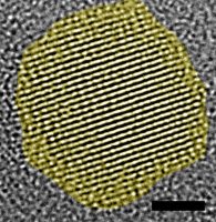 Superbugs versus Quantum dots