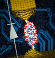 Researchers develop world's smallest nanoscale diode