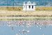 Draft Wetland Rules, 2016