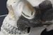 Application of 3D printing in Medicine
