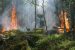 Causes and Types of Forest Fires