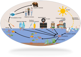 Environmental and Health Effects of Microbeads