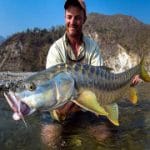 Himachal Pradesh launches artificial propagation programme of mahseer fish for conservation