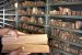 National Mission on Manuscripts