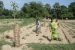 Integrated Rural Development Programme (IRDP)
