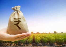Crop Loans