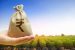 Crop Loans