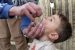 Global Vaccine Switch