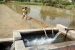 Recommendations of Standing Committee on Water Resources