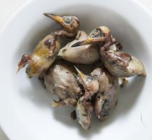 Ambelopoulia
