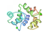 Calmodulin