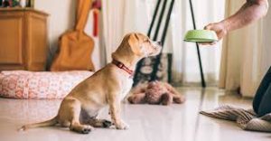 Classical Conditioning