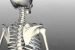Clavicle