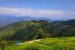 Darjeeling