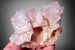 Evaporite