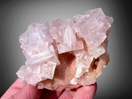Evaporite