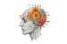 Functionalism Philosophy of Mind
