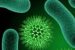 Germ Theory of Disease