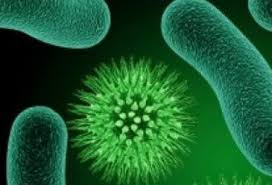 Germ Theory of Disease