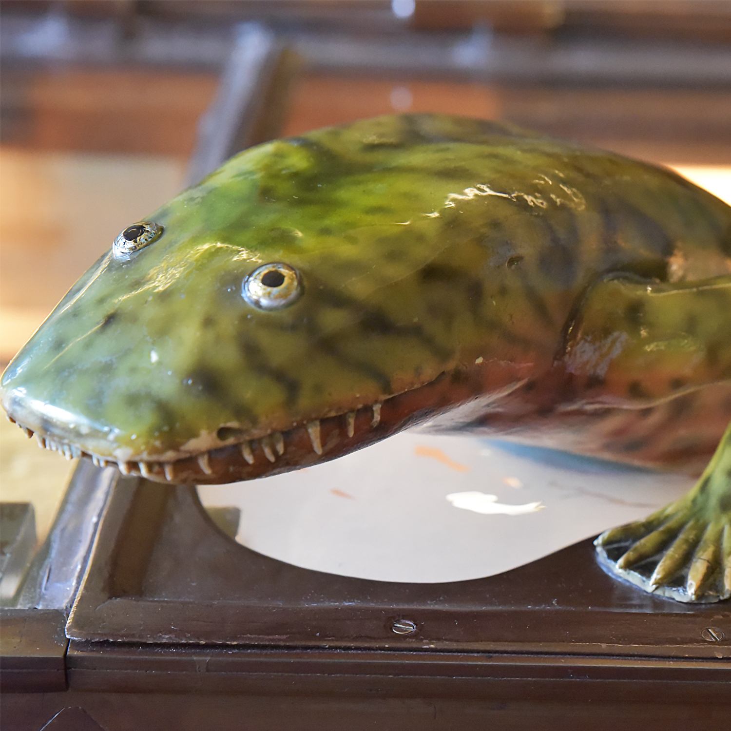 Hynerpeton