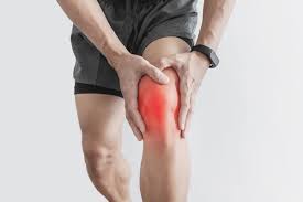 Knee