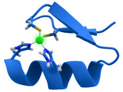 Metalloprotein