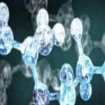 Chinese scientists discover XMU-MP-1 molecule to repair organs