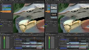 Nuke Software