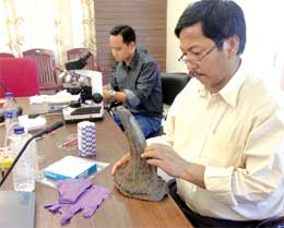 Assam Government launches Rhino horn verification process