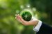 Sustainable Management