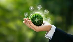 Sustainable Management