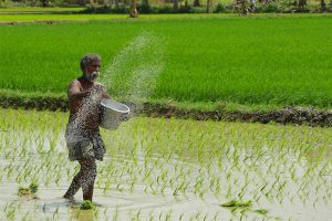 Agreement On Agriculture