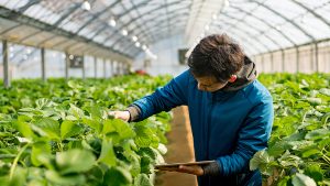 Agreement on the Application of Sanitary and Phytosanitary Measures
