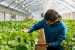 Agreement on the Application of Sanitary and Phytosanitary Measures