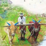 Agricultural Infrastructure and Development Cess