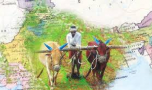 Agricultural Infrastructure and Development Cess