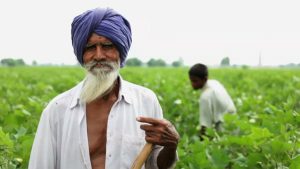 Agricultural Philosophy