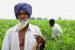 Agricultural Philosophy