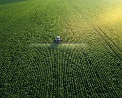 Agricultural Productivity