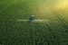 Agricultural Productivity