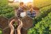 Agronomy