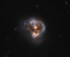 Astrophysical Maser