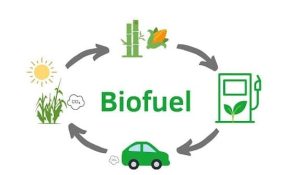 Biofuel