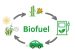 Biofuel