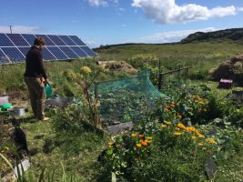 Bioregionalism
