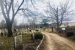 Center Street Cemetery Wallingford